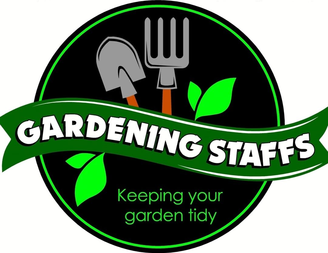 104438250_310357083302412_2026165002063275530_n